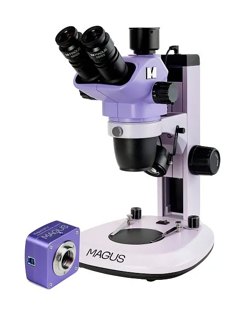 fotografia microscopio stereoscopico digitale MAGUS Stereo D7T BASE