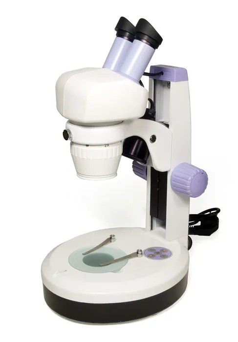 fotografia microscopio Levenhuk 5ST,  1