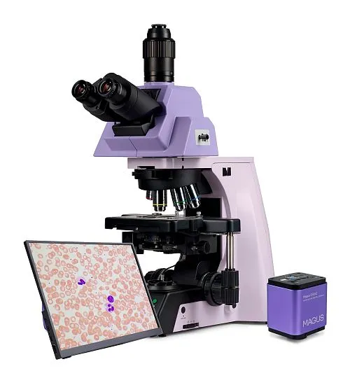 fotografia microscopio biologico digitale MAGUS Bio D290T LCD,  1