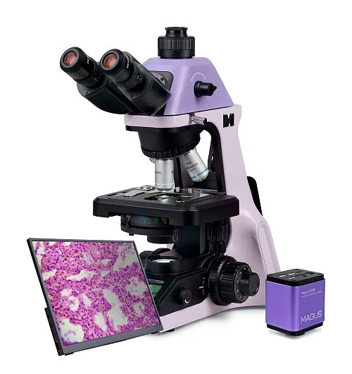 figura microscopio biologico digitale MAGUS Bio D240T LCD,  1