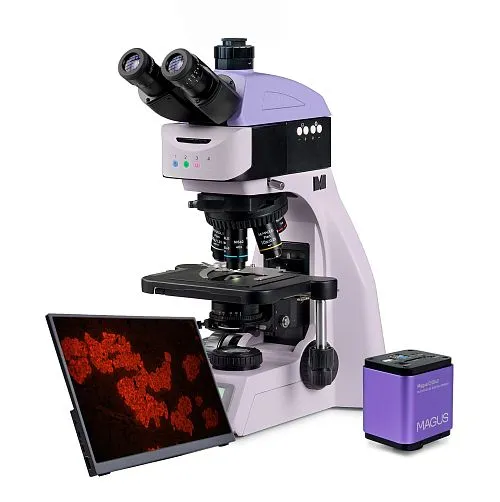 foto microscopio digitale a fluorescenza MAGUS Lum D460L LCD,  1