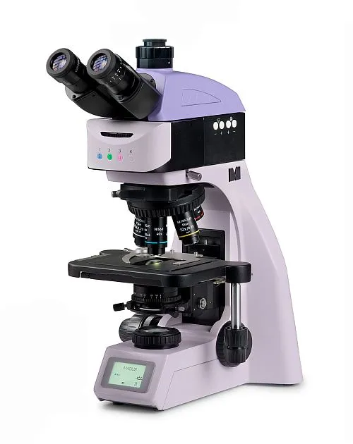 immagine microscopio a fluorescenza MAGUS Lum 460L,  1