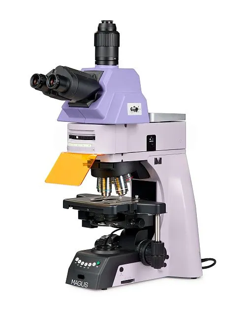 figura microscopio a fluorescenza MAGUS Lum 490L,  1
