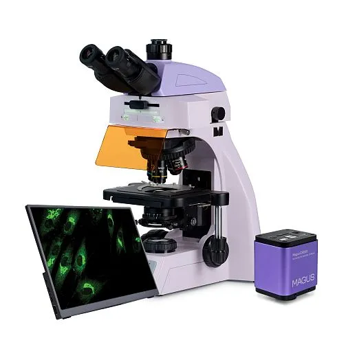 figura microscopio digitale a fluorescenza MAGUS Lum D450L LCD,  1
