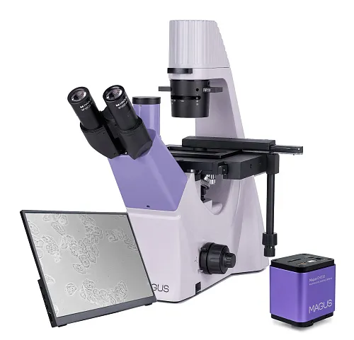 foto microscopio biologico invertito digitale MAGUS Bio VD300 LCD,  1