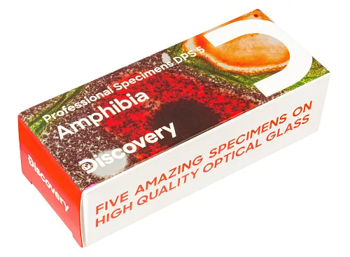 fotografia set di micropreparati Levenhuk Discovery Prof DPS 5. “Mondo anfibio”,  1