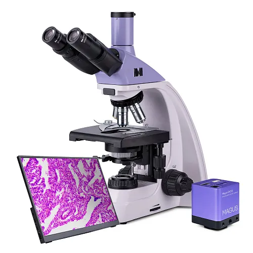 foto microscopio biologico digitale MAGUS Bio D250TL LCD