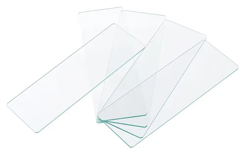 immagine vetrini vuoti Levenhuk Discovery 50,  1