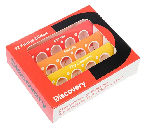 fotografia levenhuk Discovery Fauna Set con 12 vetrini preparati,  1