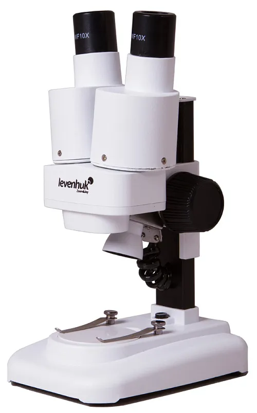 fotografia microscopio Levenhuk 1ST