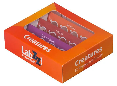immagine levenhuk LabZZ C12 Set di vetrini preparati Animali,  1