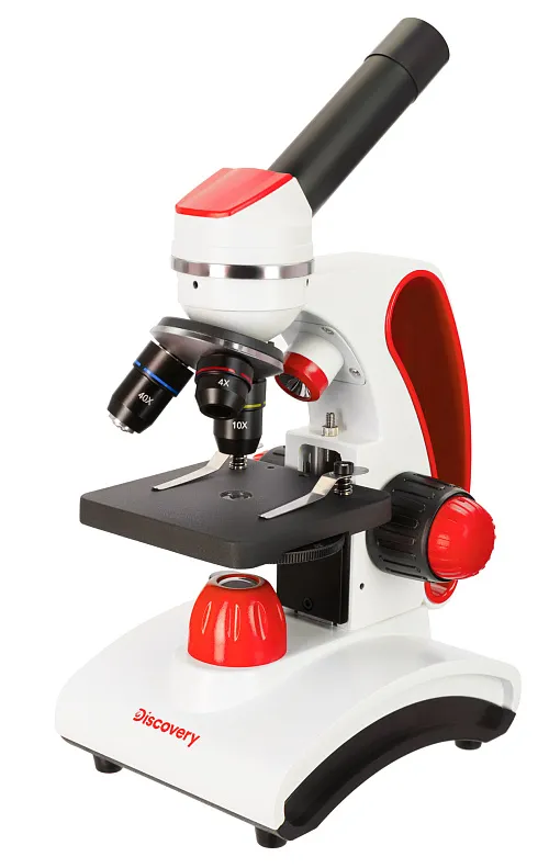 immagine microscopi Levenhuk Discovery Pico