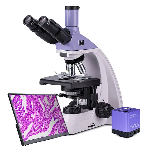 immagine microscopio biologico digitale MAGUS Bio D250T LCD,  1
