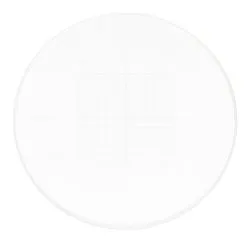 foto vetrino di calibrazione CSS2 MAGUS per stereomicroscopi (XY0,05)