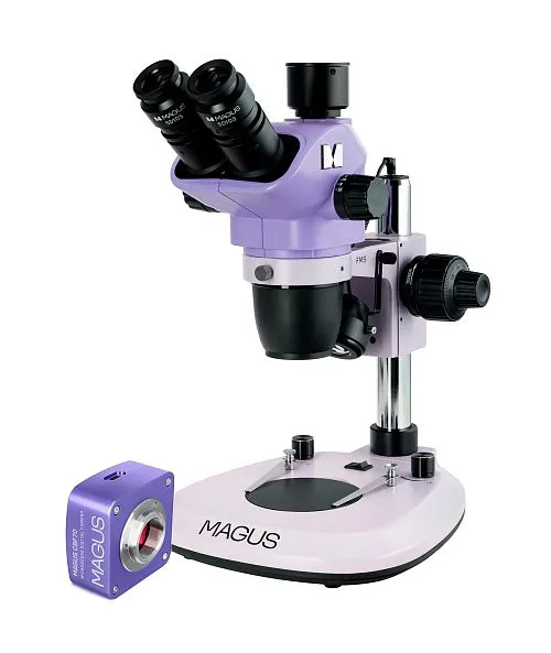 immagine microscopio stereoscopico digitale MAGUS Stereo D8T PLUS,  1