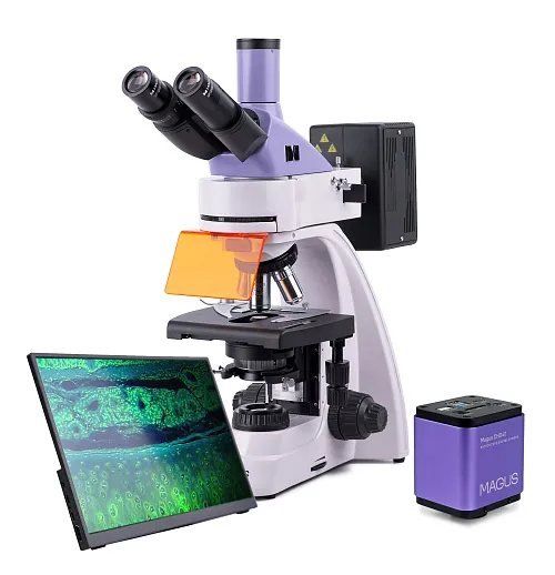 immagine microscopio a fluorescenza digitale MAGUS Lum D400 LCD,  1