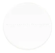 immagine vetrino di calibrazione CSS1 MAGUS per stereomicroscopi (0,1)