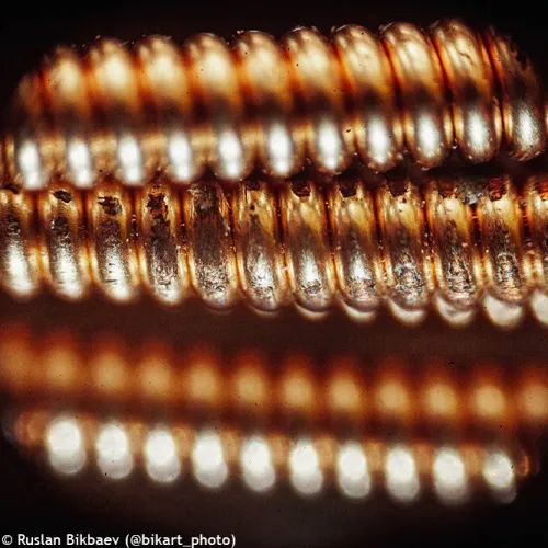 immagine microscopio Levenhuk Rainbow 50L PLUS,  22