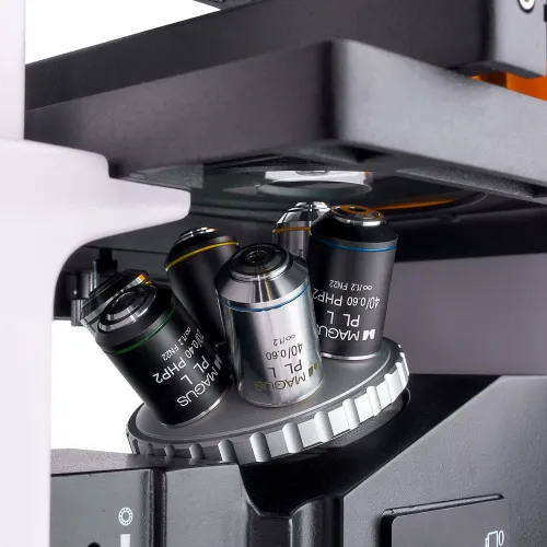 immagine microscopio a fluorescenza invertito MAGUS Lum V500,  11