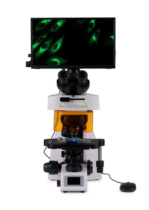 figura microscopio digitale a fluorescenza MAGUS Lum D450L LCD,  8