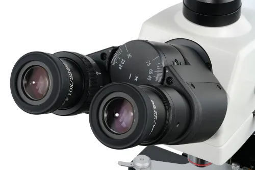 figura microscopio trinoculare Levenhuk MED 40T,  7
