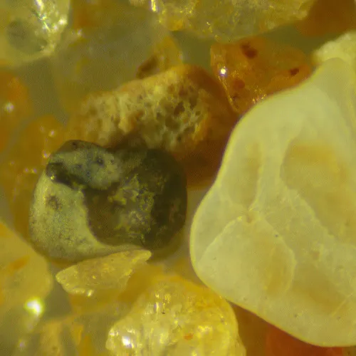 foto microscopio stereoscopico MAGUS Stereo 9T,  21