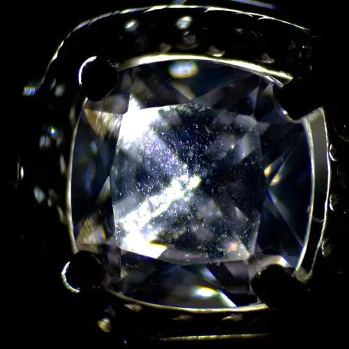 foto microscopio stereoscopico MAGUS Stereo A6,  12