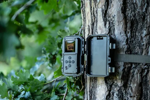 foto bresser fototrappola 60° per l'osservazione della fauna selvatica 5–20 MP ,  11