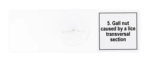 foto set di micropreparati Levenhuk Discovery Prof DPS 5. “Mutazioni”,  8