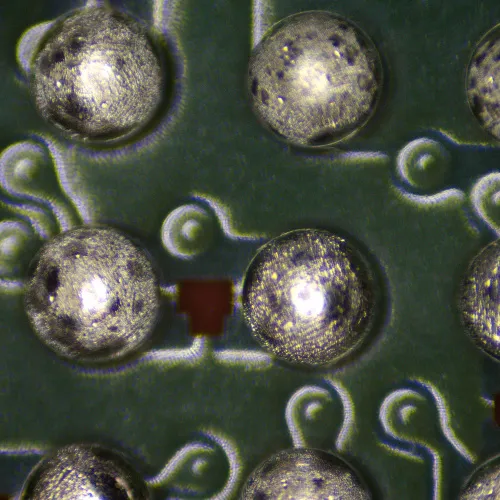 foto microscopio stereoscopico digitale MAGUS Stereo D9T,  23