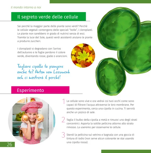 figura mondo invisibile. Libro educativo,  6