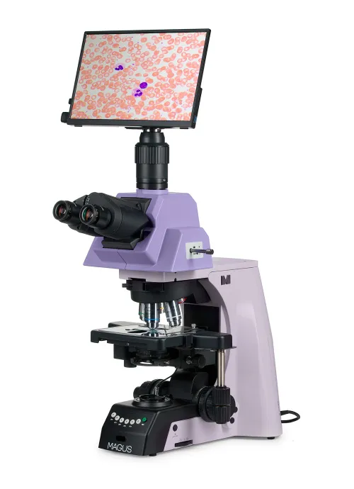 fotografia microscopio biologico digitale MAGUS Bio D290T LCD,  2