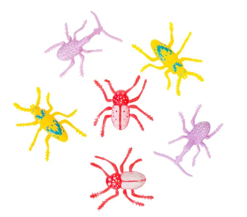 foto kit di esplorazione Levenhuk Discovery Basics EK70,  12