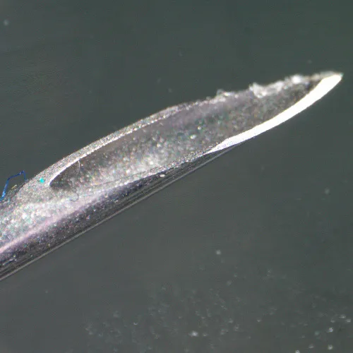 foto microscopio stereoscopico MAGUS Stereo 9T,  22