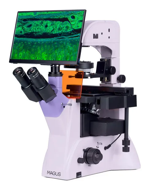 figura microscopio a fluorescenza invertito digitale MAGUS Lum VD500L LCD,  3
