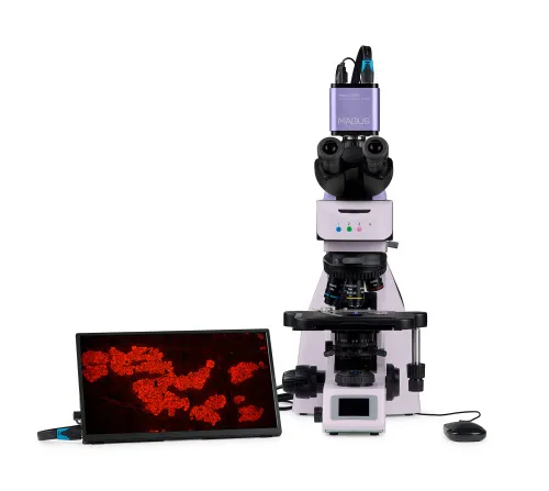 foto microscopio digitale a fluorescenza MAGUS Lum D460L LCD,  10