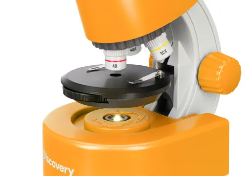 fotografia microscopio Levenhuk Discovery Micro con libro,  13