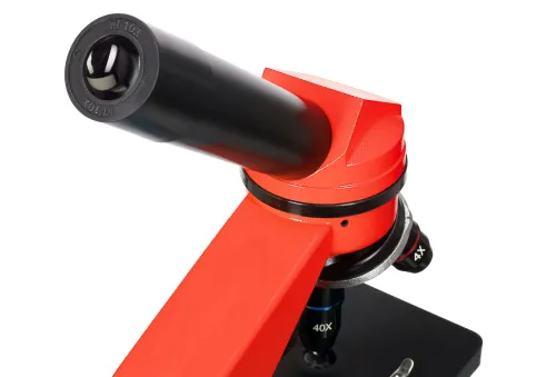 figura microscopio Levenhuk Rainbow 2L,  8