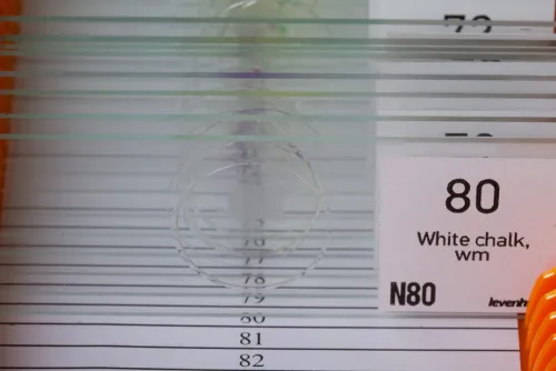 foto set di vetrini "See it all!" (Alla scoperta del mondo!) Levenhuk N80 NG,  4