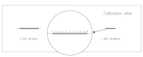 immagine vetrino di calibrazione CS3 MAGUS (0,01/0,05/0,1),  6