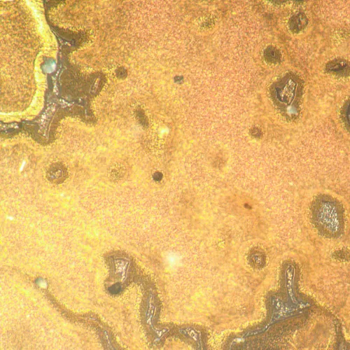 figura microscopio metallografico invertito MAGUS Metal V790 DIC,  21