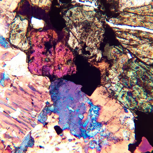 foto microscopio polarizzatore digitale MAGUS Pol D850,  24