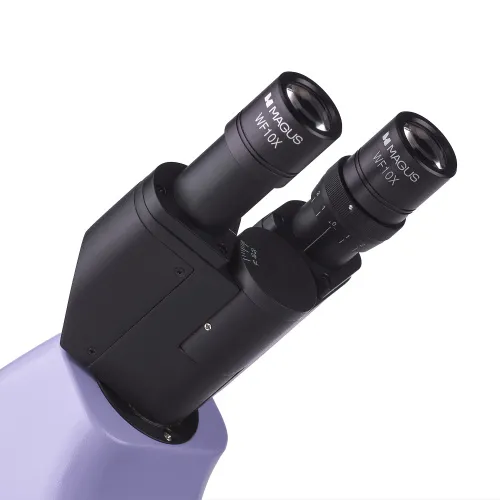 fotografia microscopio biologico MAGUS Bio 230BL,  11