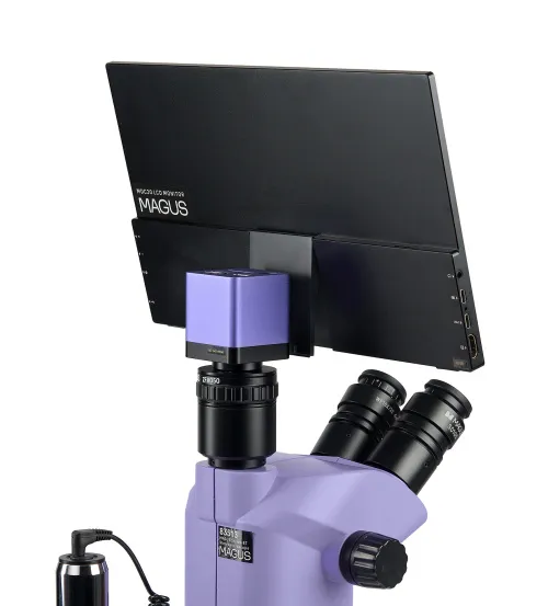 fotografia microscopio stereoscopico digitale MAGUS Stereo D8T LCD BASE,  10