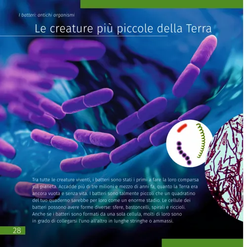 immagine mondo invisibile. Libro educativo. Copertina rigida,  8