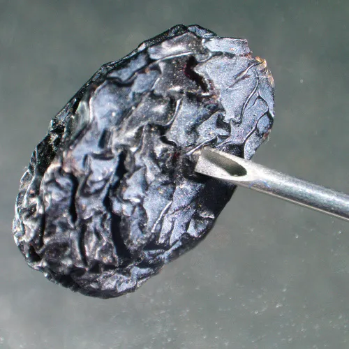 foto microscopio stereoscopico MAGUS Stereo A6,  14