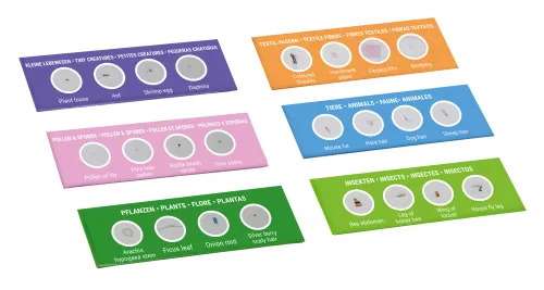 foto kit per esperimenti Bresser Junior con 24 preparati permanenti microscopio per principianti,  3