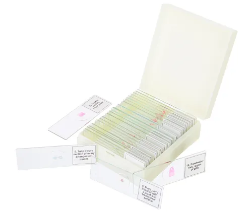 foto set di micropreparati Levenhuk Discovery Prof DPS 25. “Biologia, uccelli, ecc.”,  5