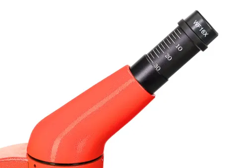 immagine microscopio Levenhuk Rainbow 50L PLUS,  12