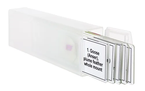 figura set di micropreparati Levenhuk Discovery Prof DPS 5. “Uccelli”,  5